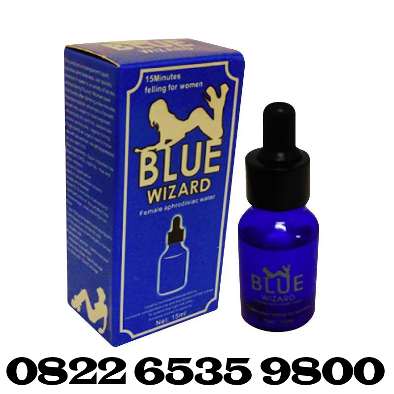 Adjunto Blue Wizard Di Semarang.jpg