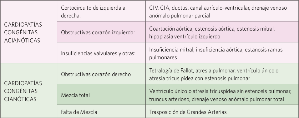 Cardio 1