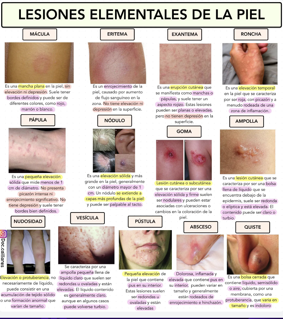 LESIONES EN LA PIEL