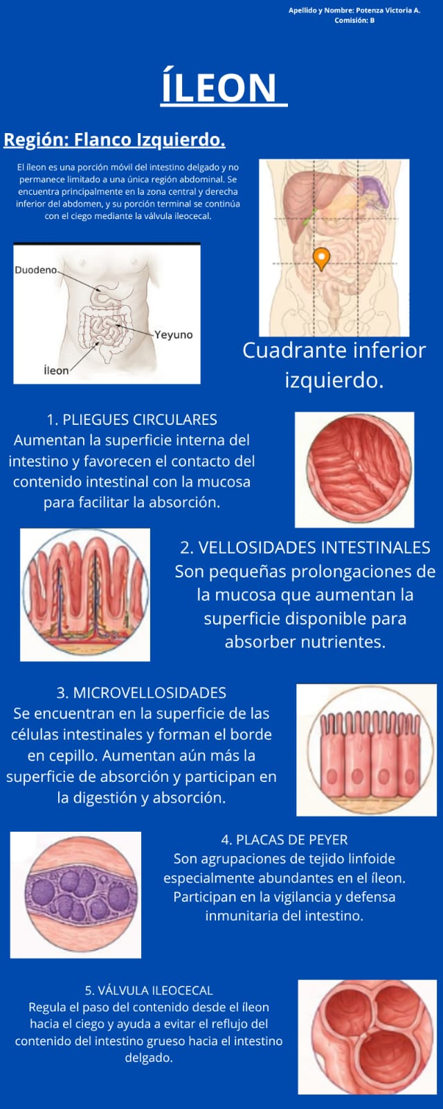 Adjunto Infografía - Flanco Izquierdo, ÍLEON .jpg