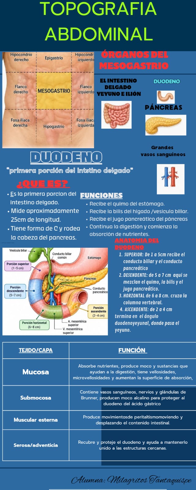 Adjunto infografia tp.jpeg